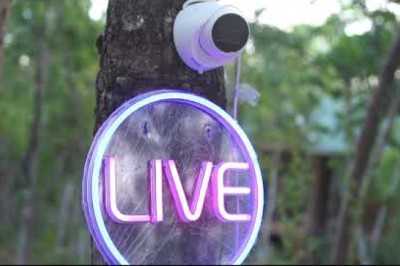 Naked News, CAM4 and Tempted Announces the Return of its Naked and Uncut Series and its partnership with IOS Connections