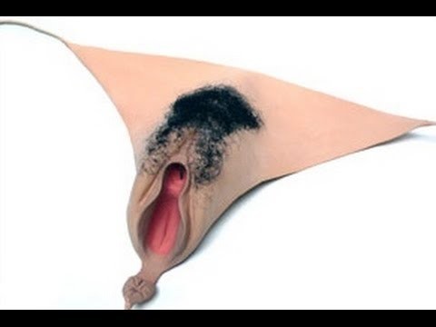 The Bearded Manta Ray