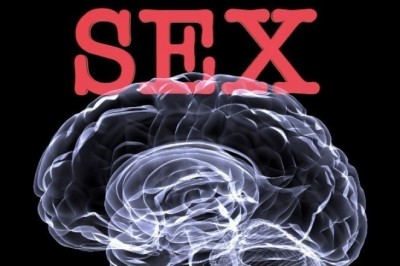 How does your mind see pornography ?